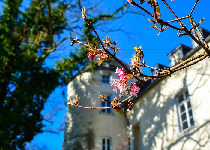 Burg Boetzelaer